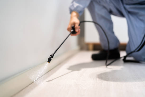 Bed Bug Pre-Treatment Preparation Assessment in Black Canyon City