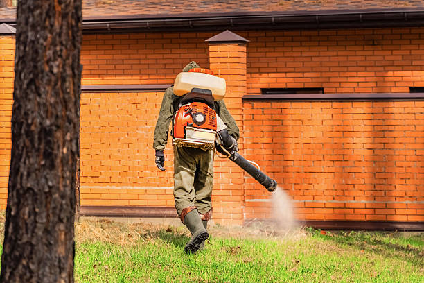 Bed Bug Clearance Verification and Documentation in Black Canyon City